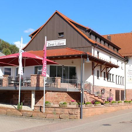 Hotel Drei Lilien Waldbrunn  Exterior foto